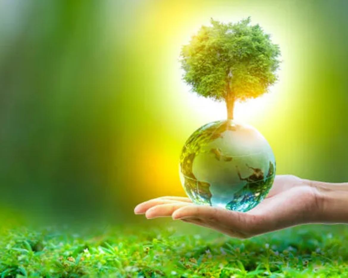 climate