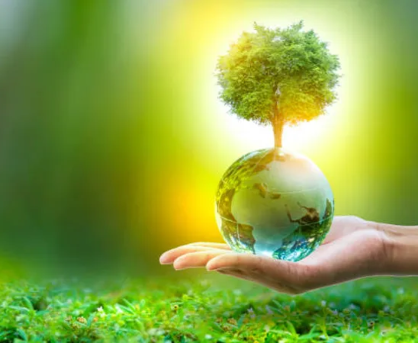 climate